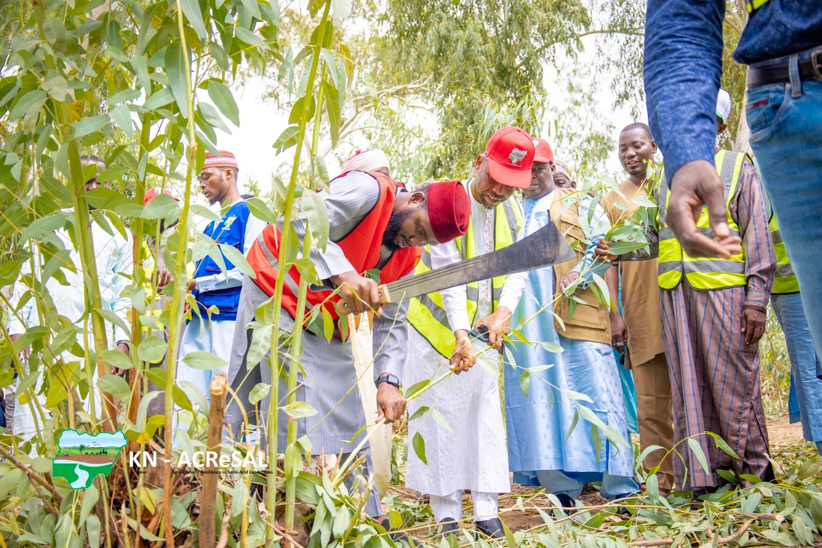 Rehabilitation of Shelterbelt in Ginzo-7